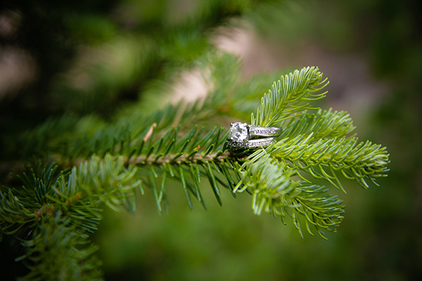 Best Snow Mountain Ranch Wedding Photos - Sandra Johnson (SJFoto.com)